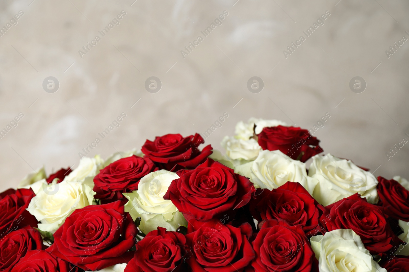 Photo of Luxury bouquet of fresh roses on beige background, closeup. Space for text
