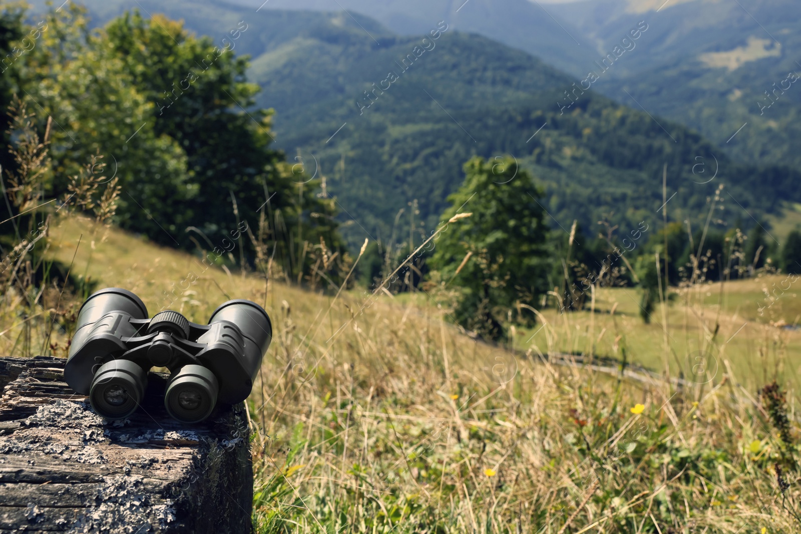 Photo of Modern binoculars on wooden surface outdoors, space for text