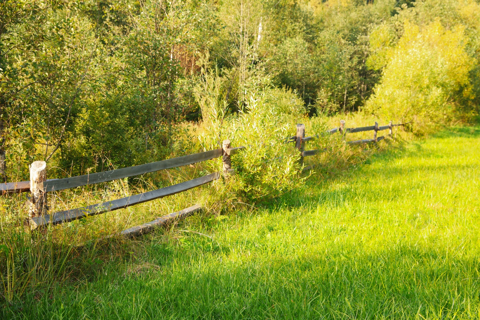 Photo of Beautiful view with wooden fence and bright green grass on sunny day