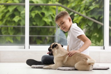 Boy with his cute pug near window indoors. Space for text