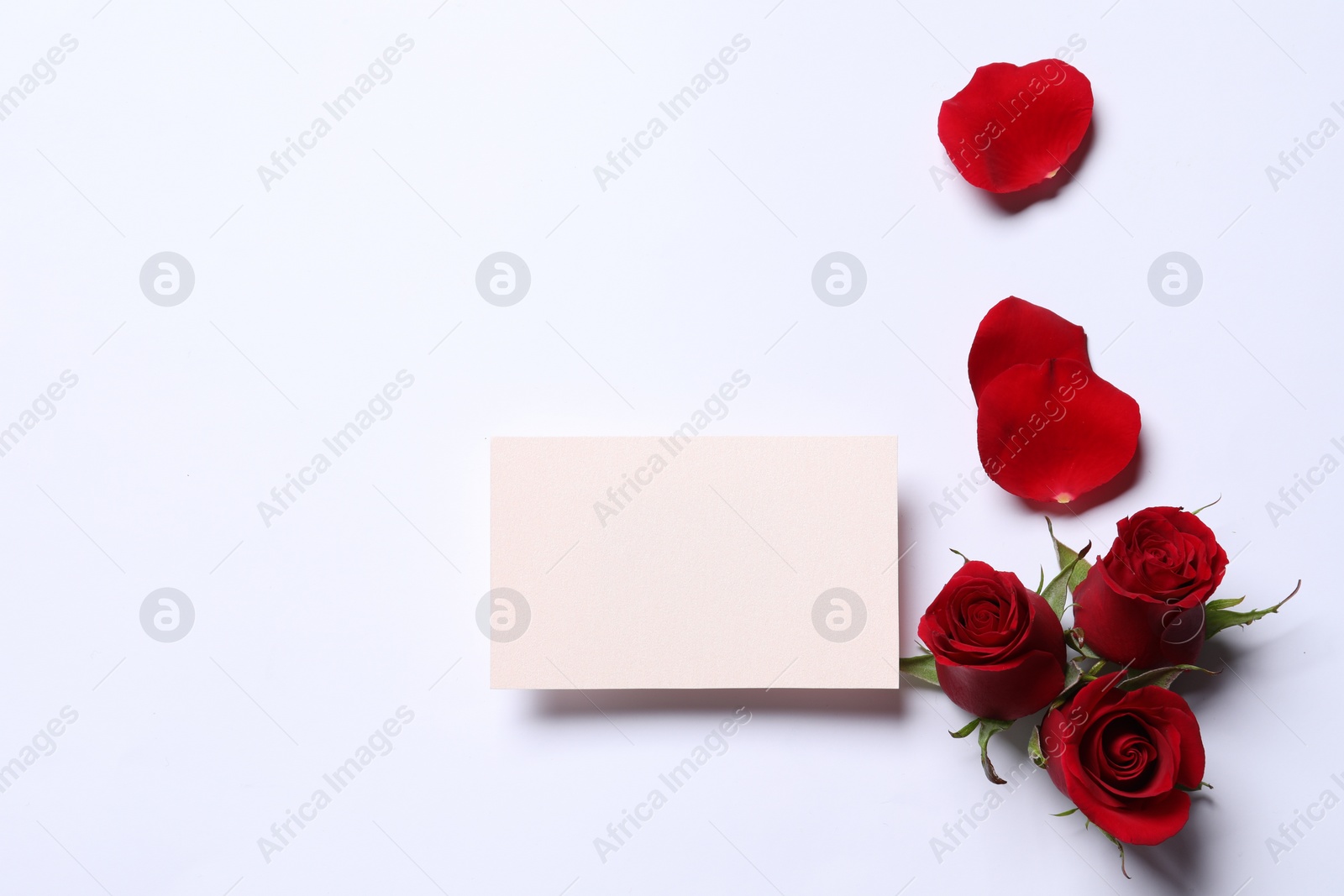 Photo of Blank card, beautiful red roses and petals on white background, flat lay. Space for text