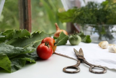 Photo of Fresh green herbs, tomatoes and scissors on table indoors. Space for text