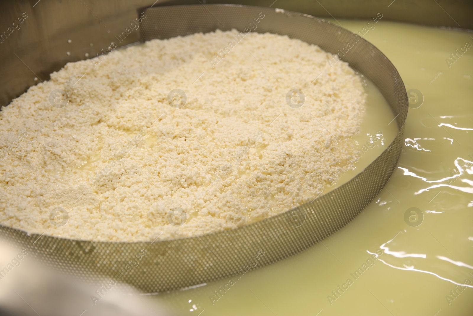 Photo of Curd separated from whey in tank at cheese factory