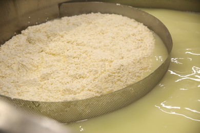 Curd separated from whey in tank at cheese factory