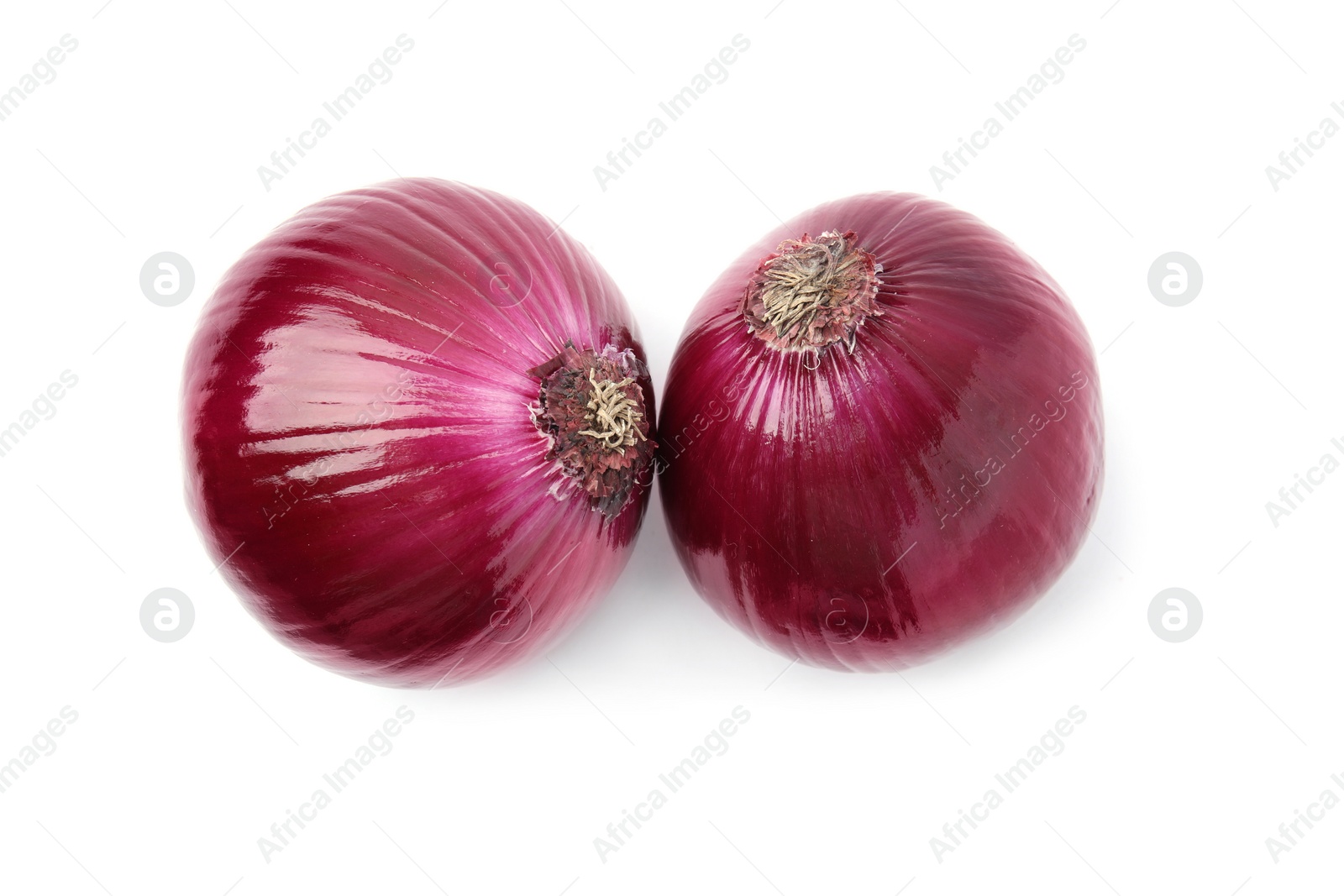 Photo of Two fresh red onions on white background, top view