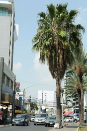 Photo of City street with parked cars, palm trees and buildings