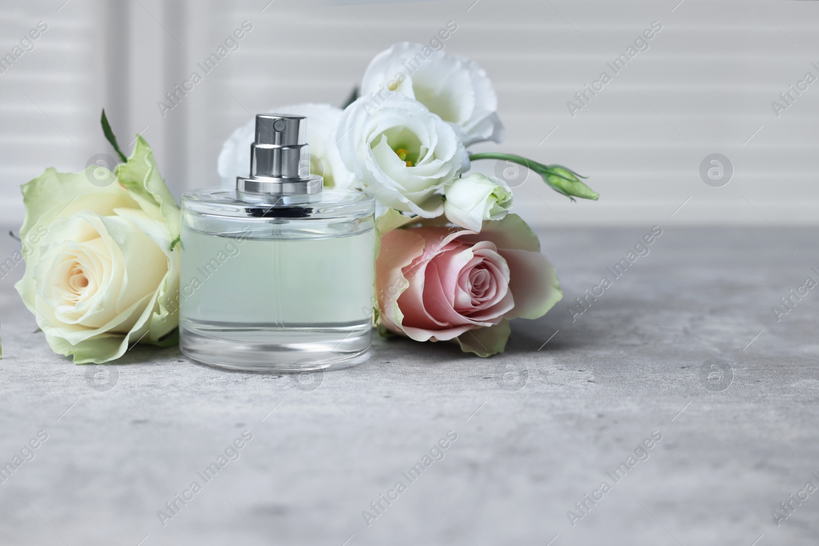 Photo of Bottle of perfume and flowers on grey table indoors