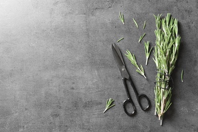 Photo of Fresh rosemary twigs and scissors on gray table, top view