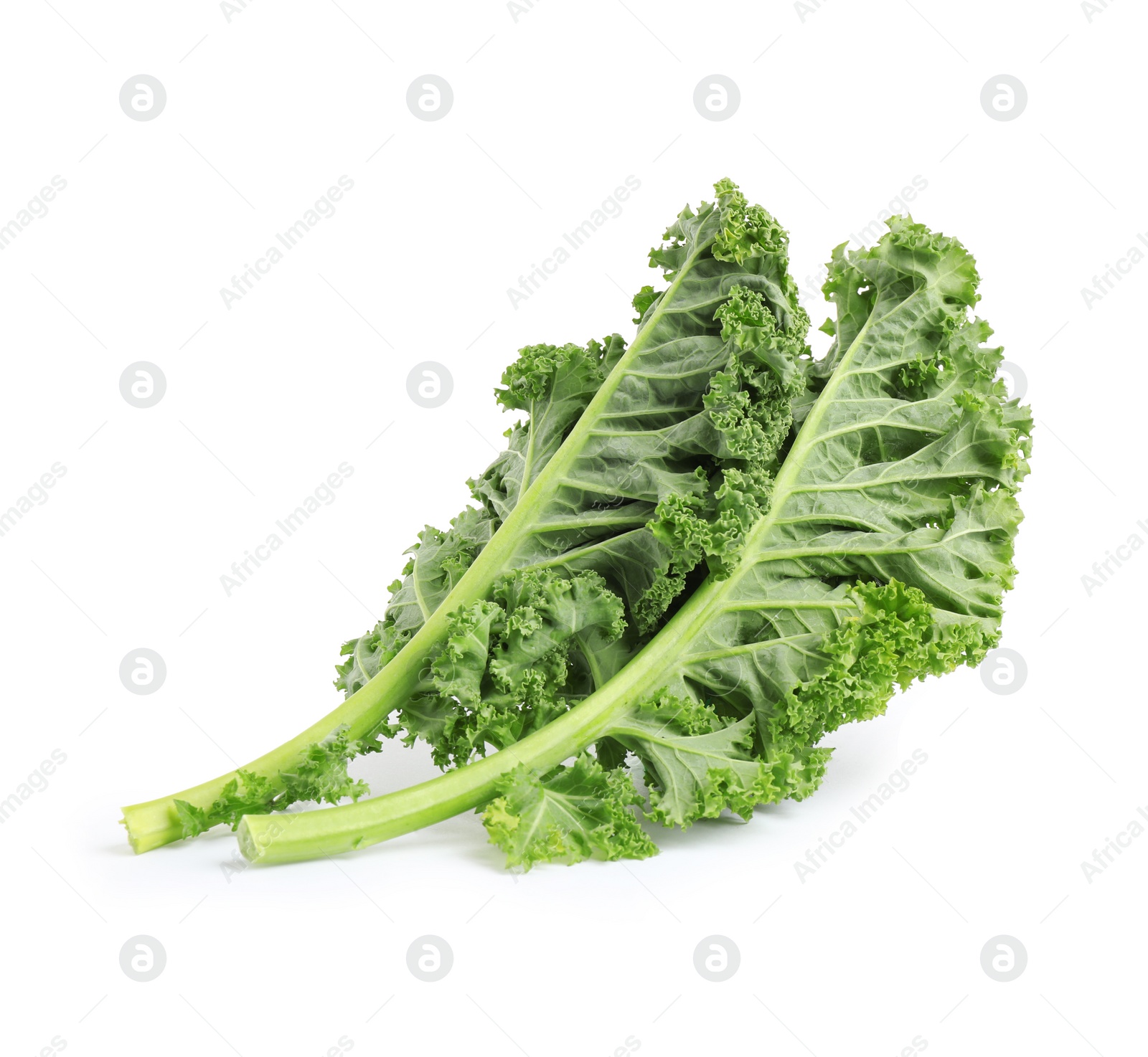 Photo of Fresh green kale leaves isolated on white