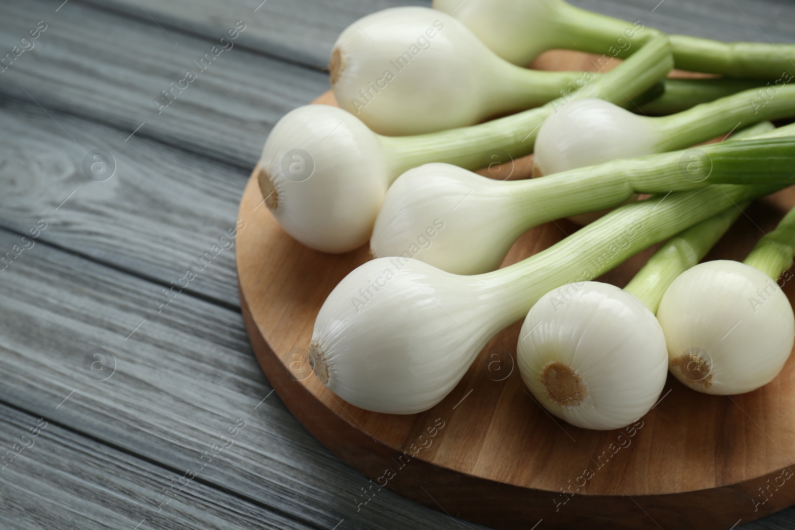 Photo of Tray with green spring onions on grey wooden table, closeup. Space for text