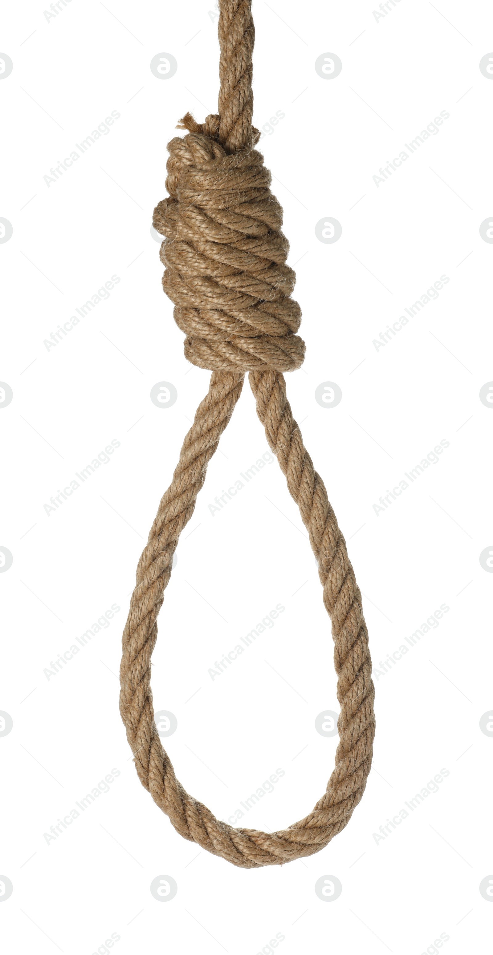 Photo of Rope noose with knot isolated on white