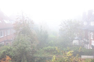 Beautiful buildings and trees in fog outdoors