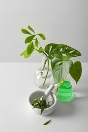 Photo of Ceramic mortar and laboratory glassware with plants on white background. Chemistry concept