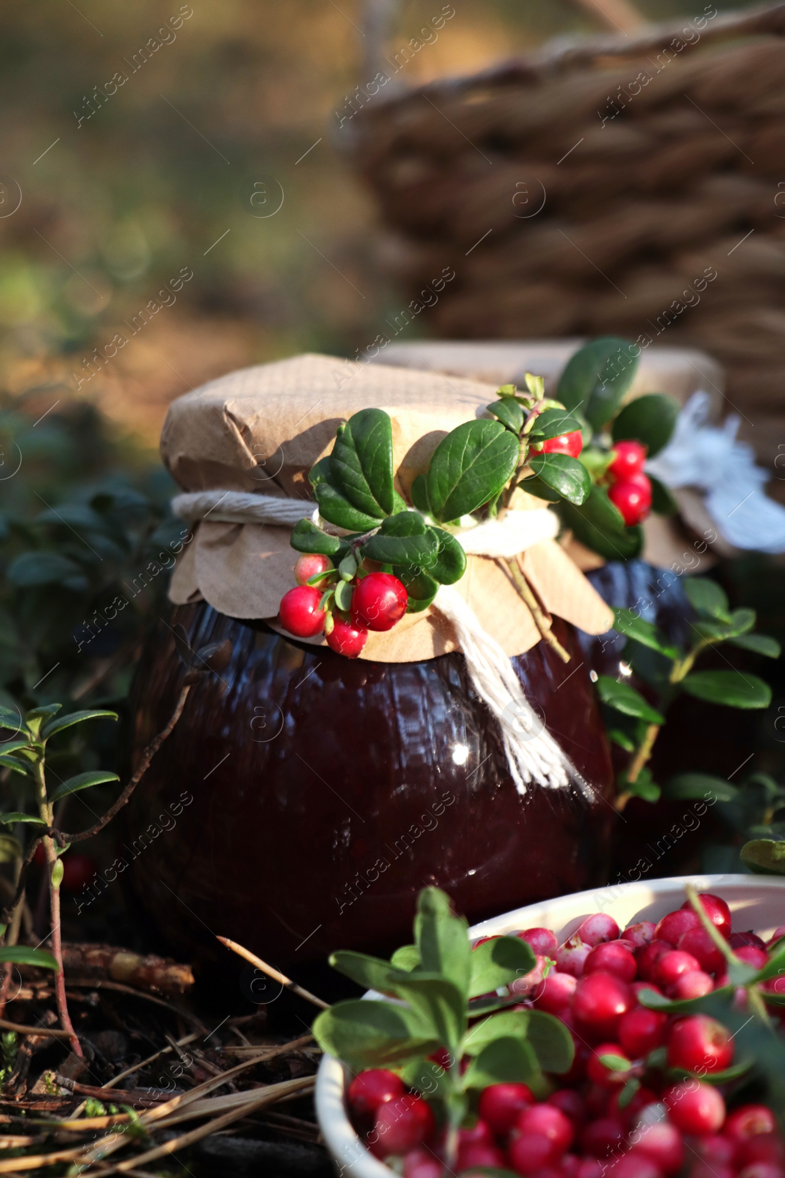 Photo of Jars of delicious lingonberry jam and red berries outdoors