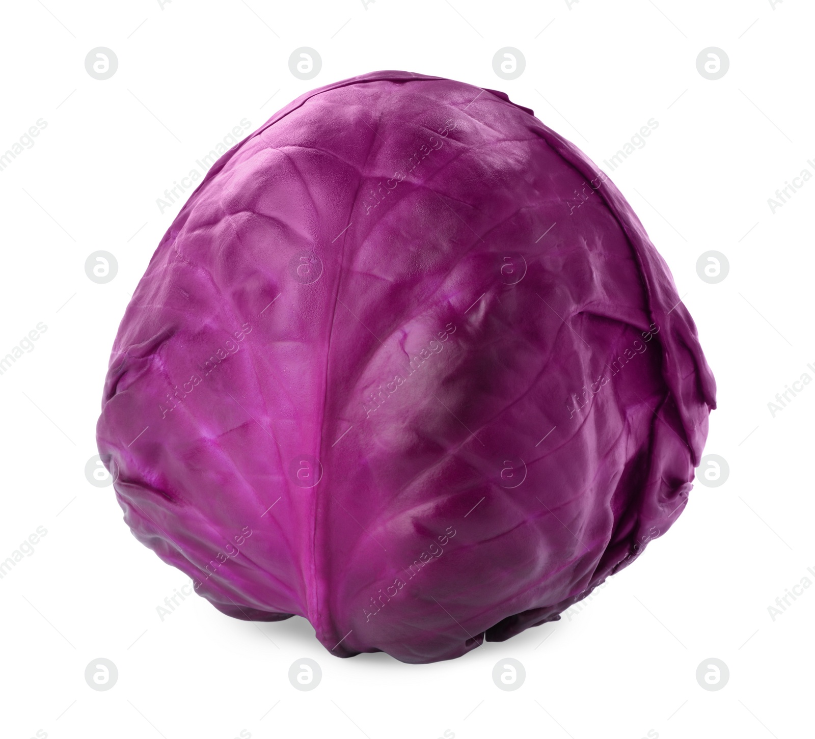 Photo of One fresh ripe red cabbage isolated on white