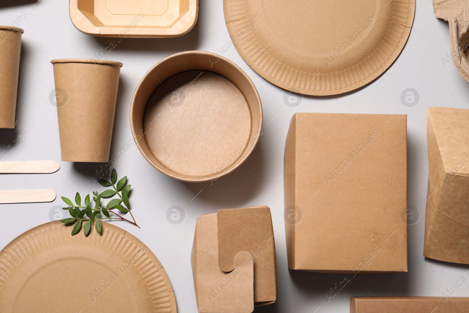 Photo of Flat lay composition with eco friendly food packagings and twig on light grey background