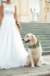 Photo of Bride and adorable Golden Retriever wearing wreath made of beautiful flowers outdoors, closeup