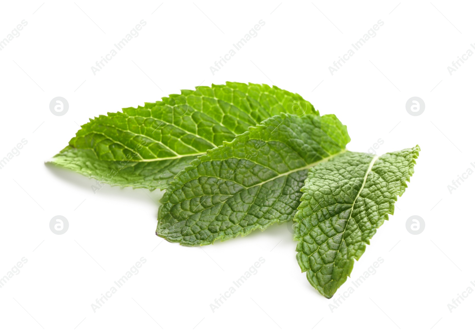 Photo of Fresh green mint leaves on white background