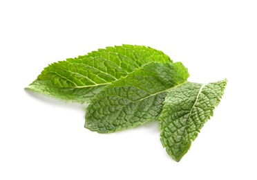 Fresh green mint leaves on white background