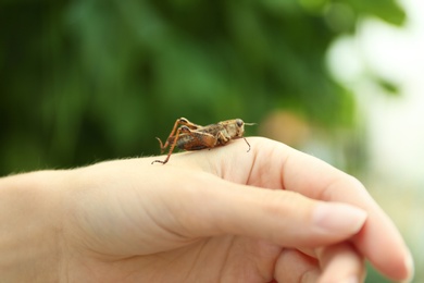 Photo of Woman with brown grasshopper outdoors, closeup view