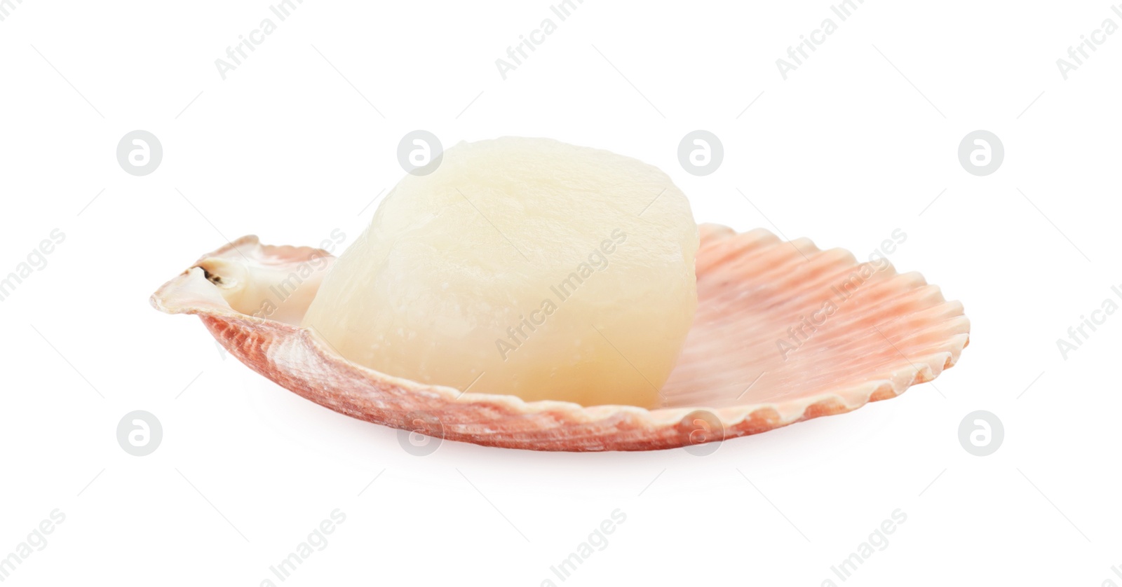 Photo of Fresh raw scallop in shell isolated on white