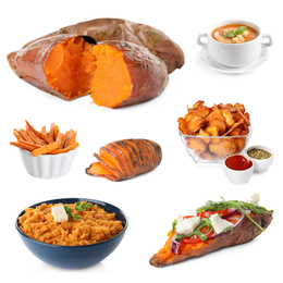 Image of Set of delicious sweet potatoes dishes on white background