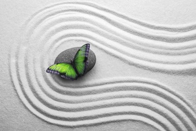 Image of Beautiful butterfly and stone on white sand with pattern, top view. Zen concept