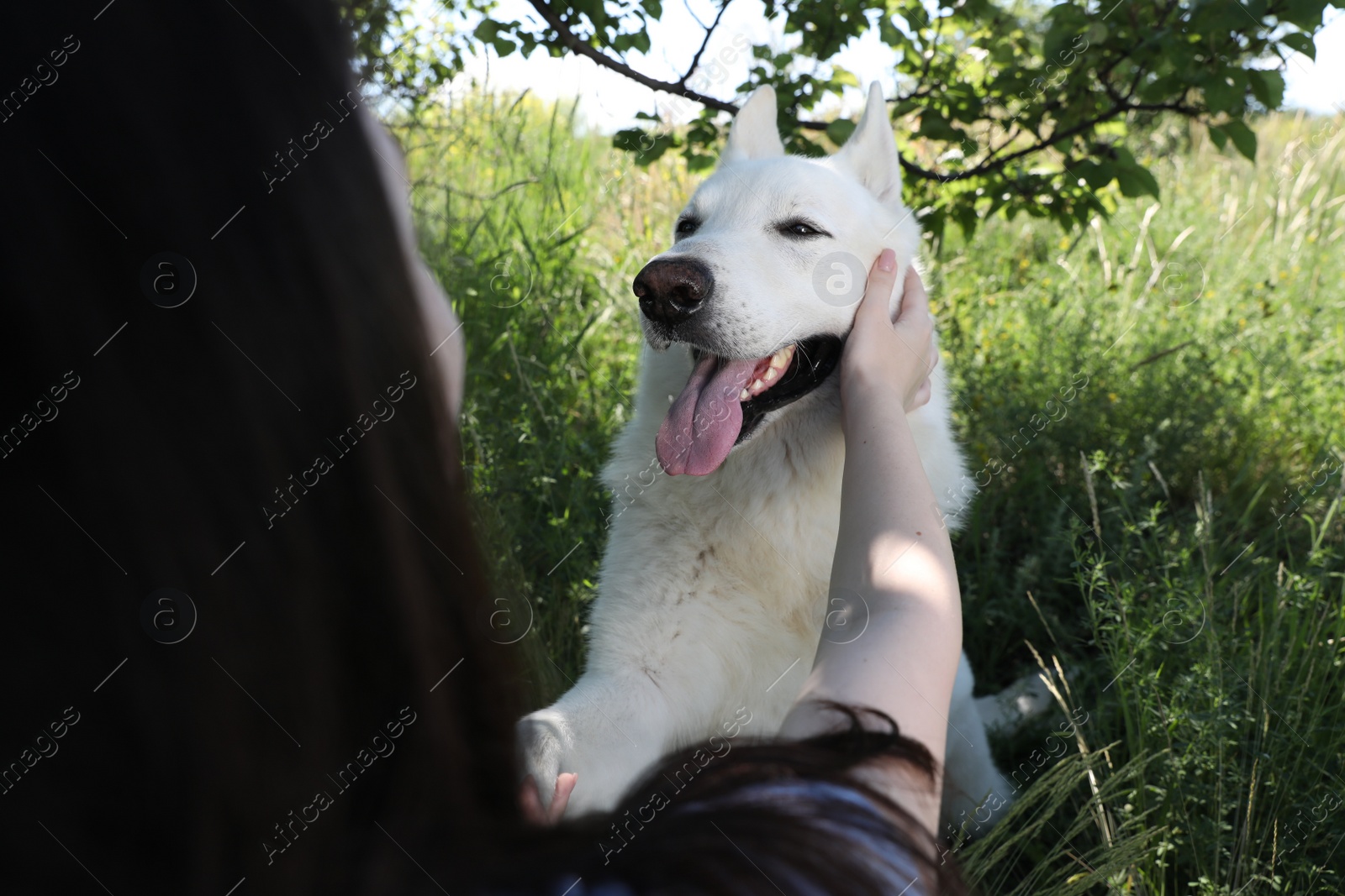 Photo of Young woman with her white Swiss Shepherd dog in park, closeup