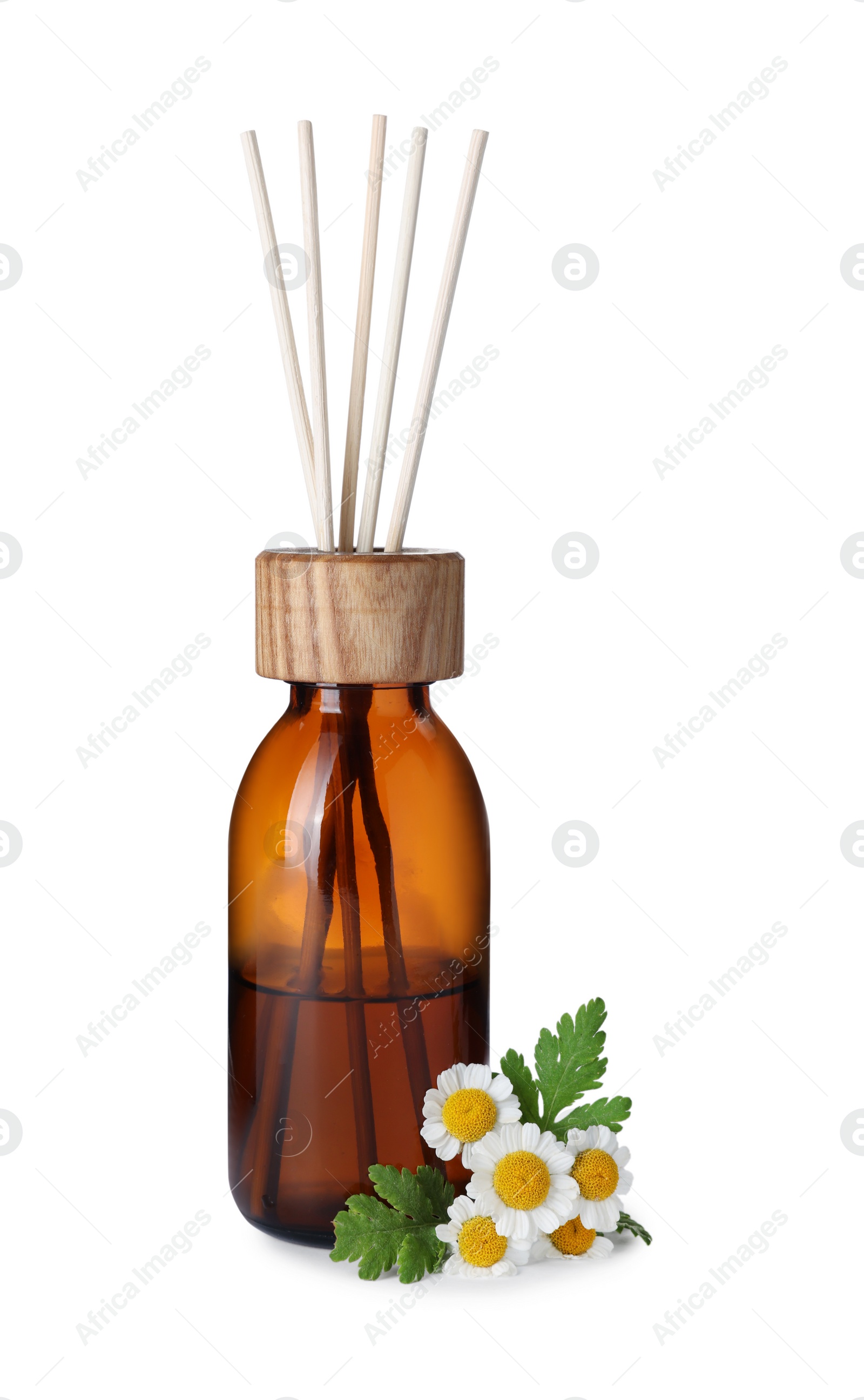 Photo of Aromatic reed air freshener and chamomiles on white background