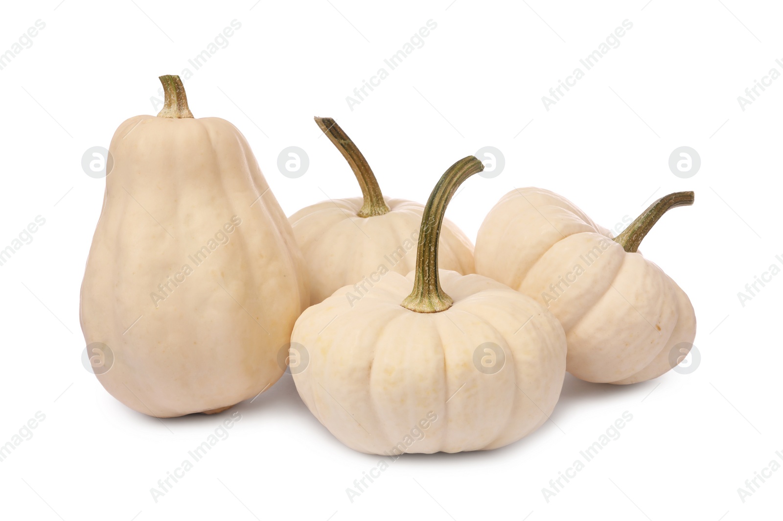 Photo of Many ripe beige pumpkins isolated on white