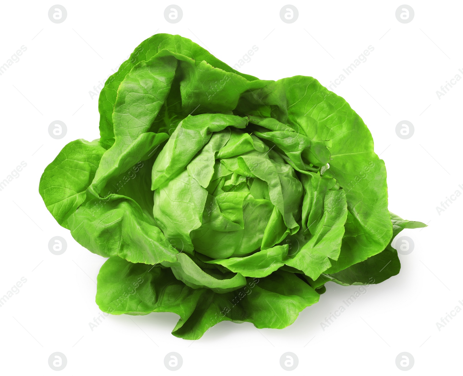 Photo of Fresh green butter lettuce head isolated on white