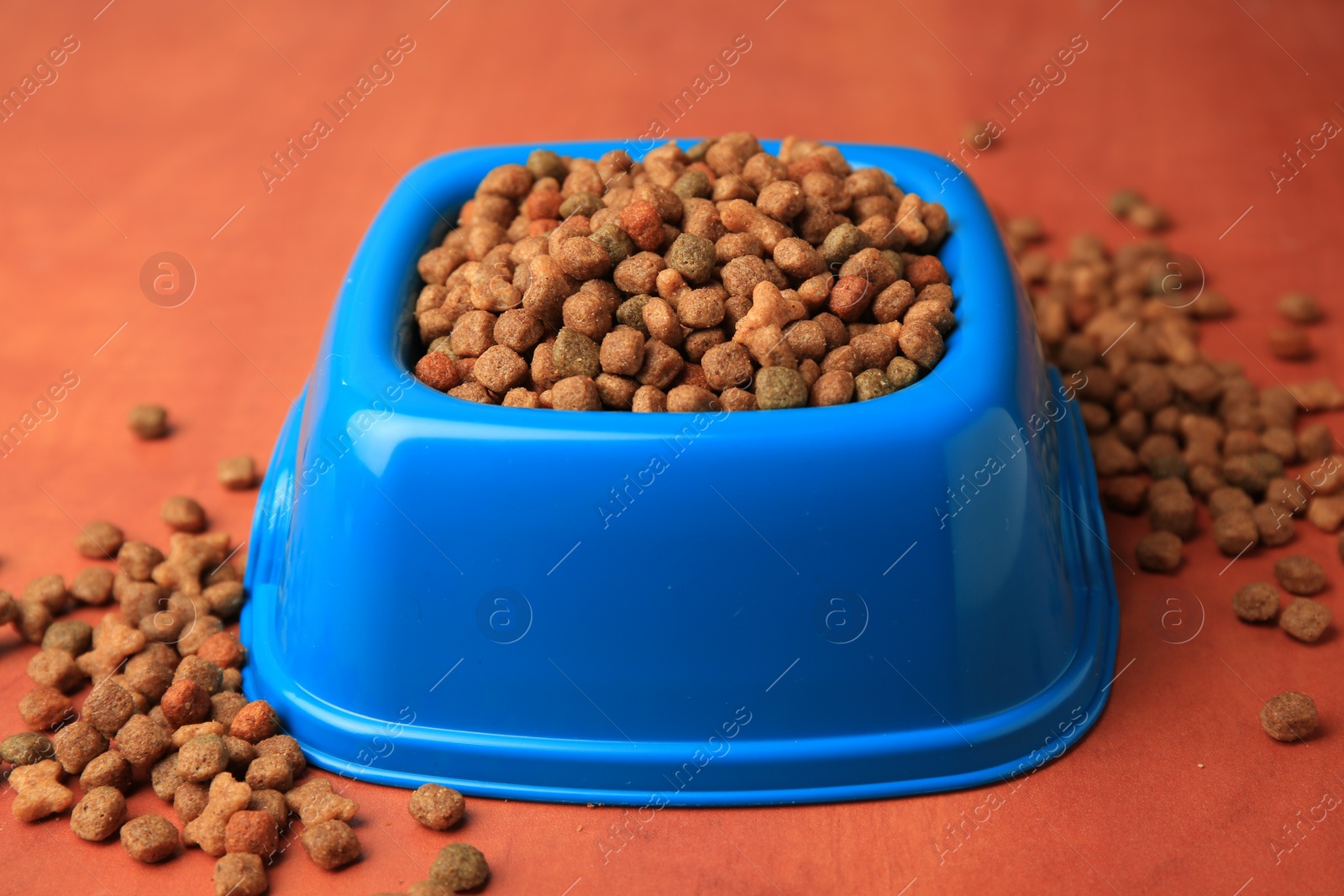 Photo of Dry pet food in feeding bowl on orange background, closeup