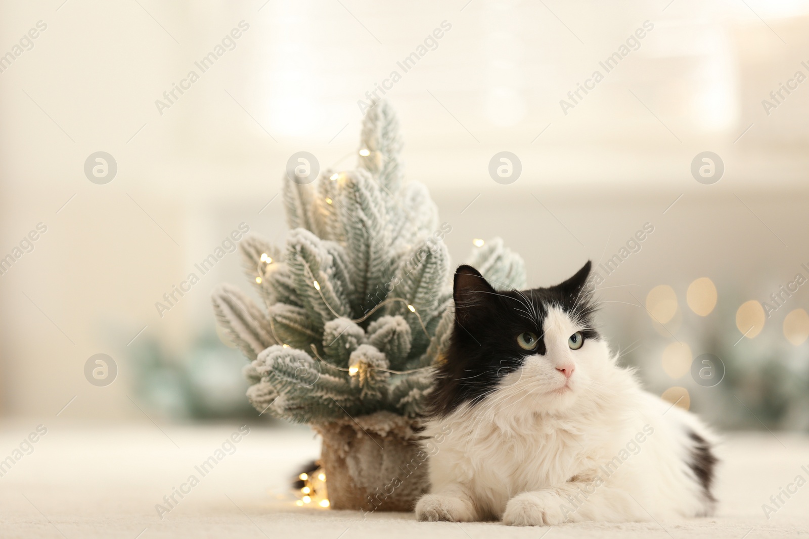 Photo of Adorable cat near decorative Christmas tree on blurred background