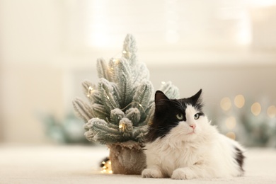 Adorable cat near decorative Christmas tree on blurred background