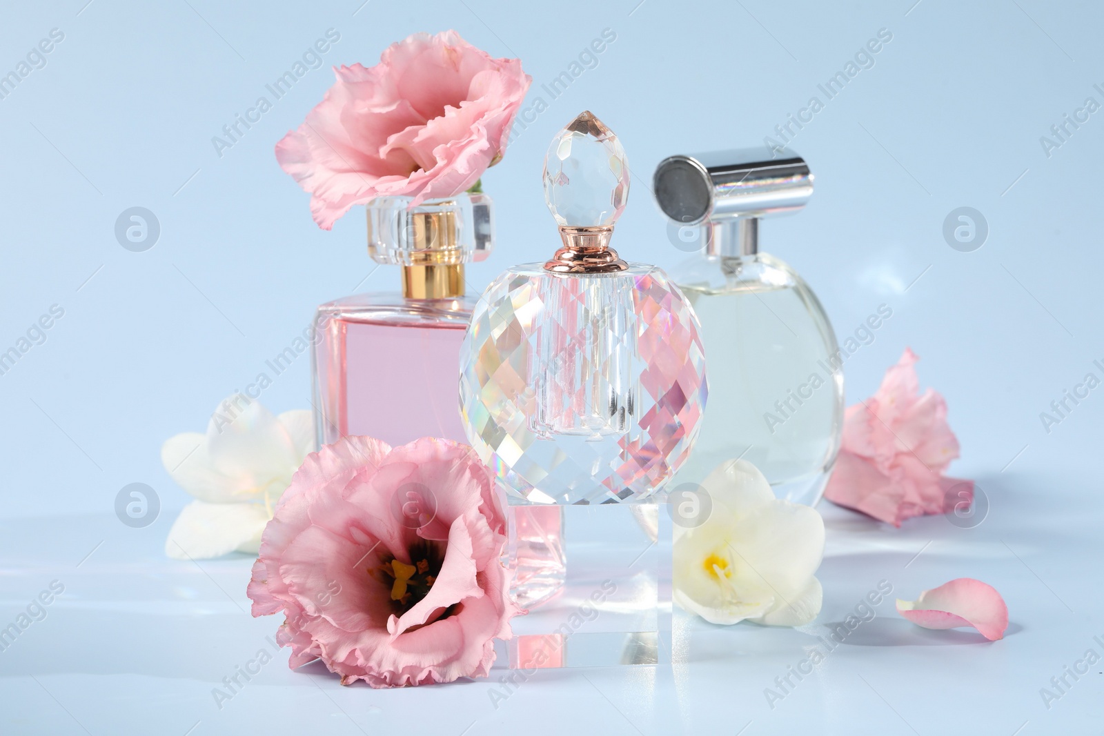 Photo of Bottles of luxury perfumes and floral decor on light blue background