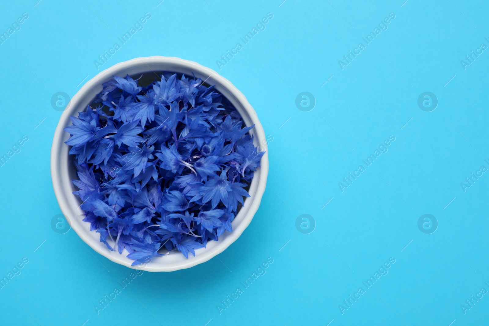 Photo of Beautiful bright cornflowers petals in bowl on light blue background, top view. Space for text