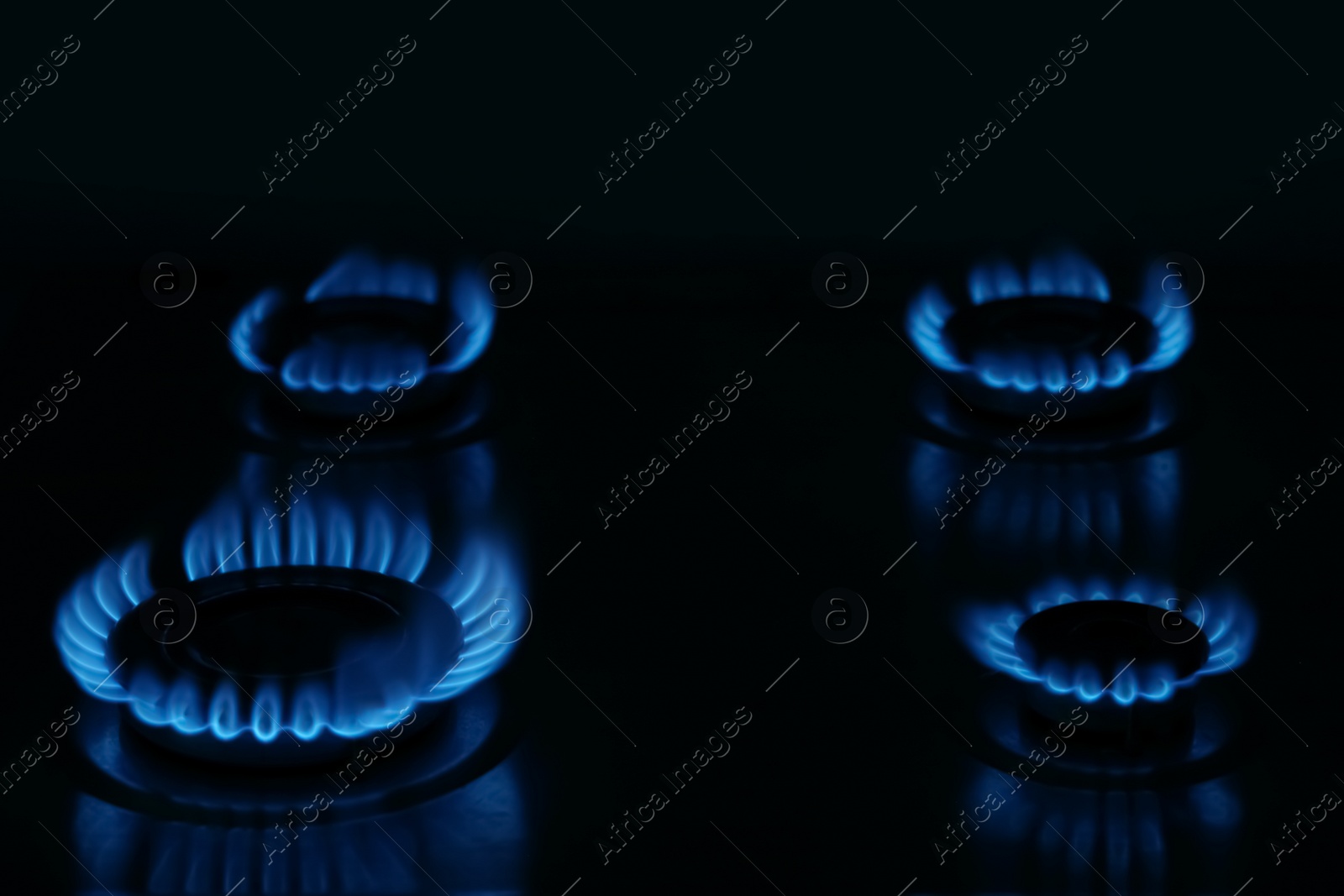 Photo of Gas cooktop with burning blue flames in darkness