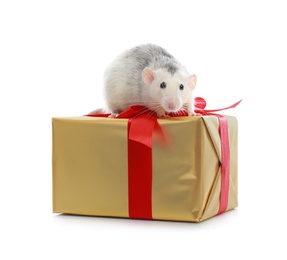 Cute little rat and gift box on white background. Chinese New Year symbol