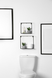 Shelves with different stuff and potted plants on white wall above toilet bowl in restroom interior