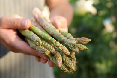 Photo of Man holding fresh raw asparagus outdoors, closeup