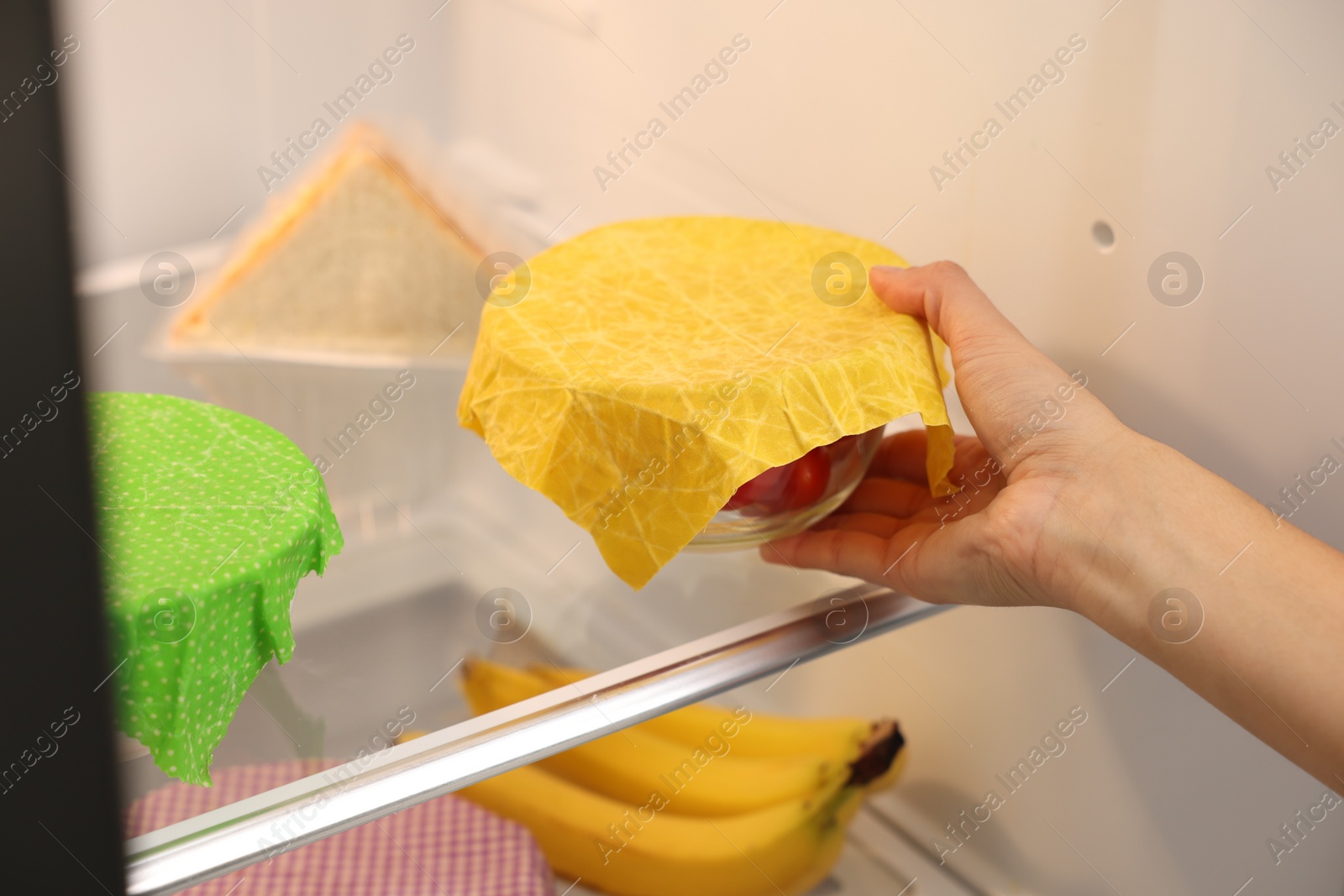 Photo of Woman putting bowl covered with beeswax food wrap into refrigerator, closeup