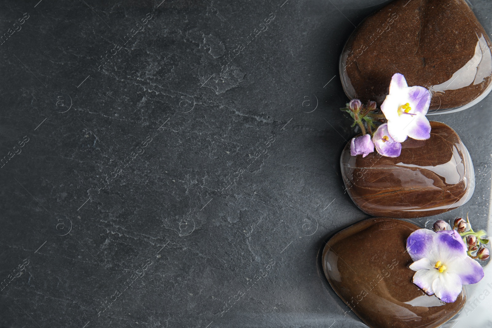 Photo of Stones and flowers in water on dark background, flat lay with space for text. Zen lifestyle