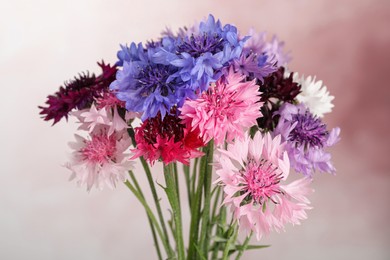 Bouquet of beautiful cornflowers against pink background, closeup