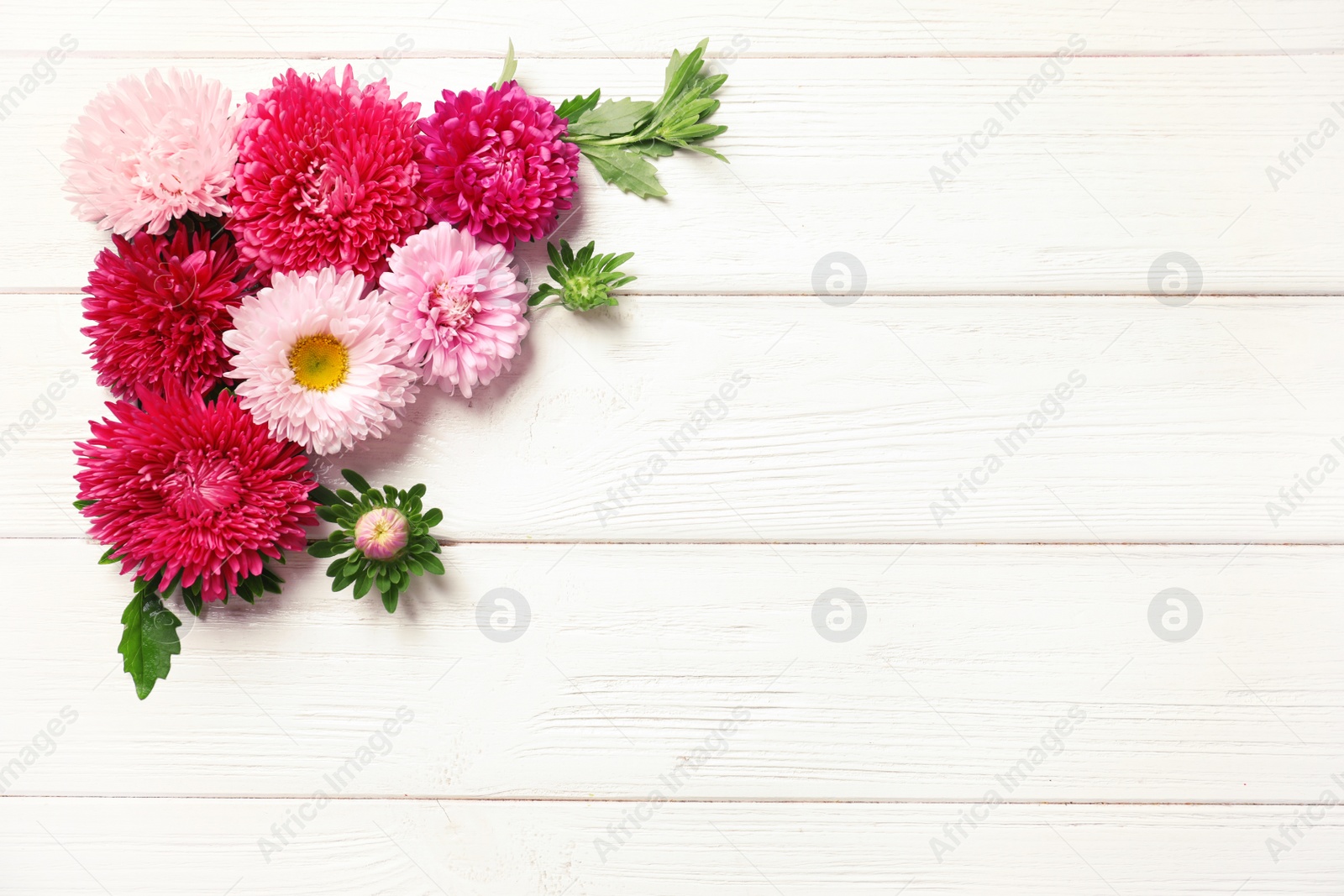 Photo of Beautiful aster flowers and space for text on wooden background, flat lay