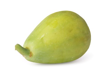 Photo of One ripe green fig isolated on white