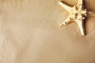 Photo of Beautiful starfish on sand, top view. Space for text