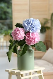 Beautiful hortensia flowers in can on stand indoors
