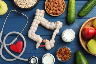 Photo of Layout of intestine model and products to help digestion on blue wooden table, top view