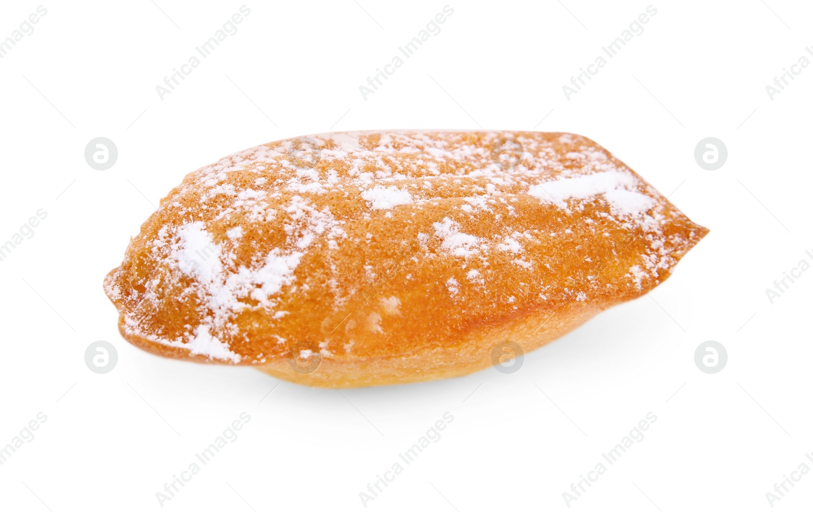 Photo of Delicious madeleine cake with powdered sugar isolated on white