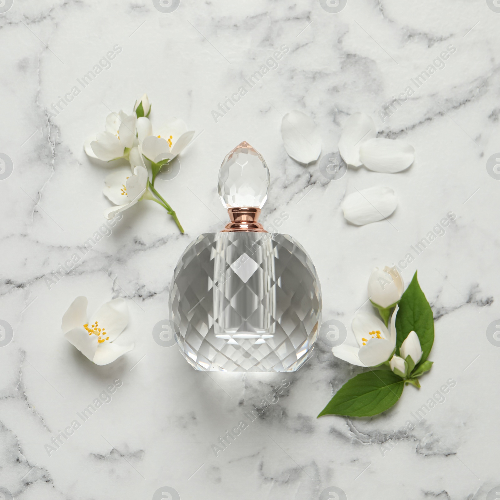 Photo of Bottle of luxury perfume and fresh jasmine flowers on white marble table, flat lay